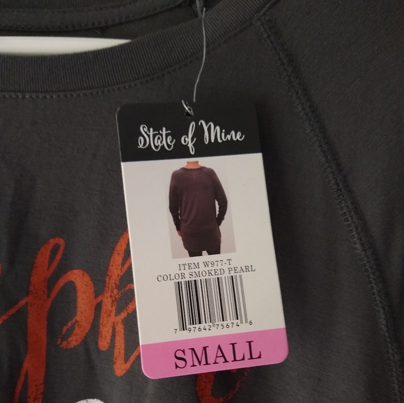 NEW State of Mine "Pumpkin Spice Everything" Long Sleeve T-Shirt Grey Small - Picture 3 of 7